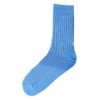 Chaussettes fil d'Ecosse Bleu Ciel